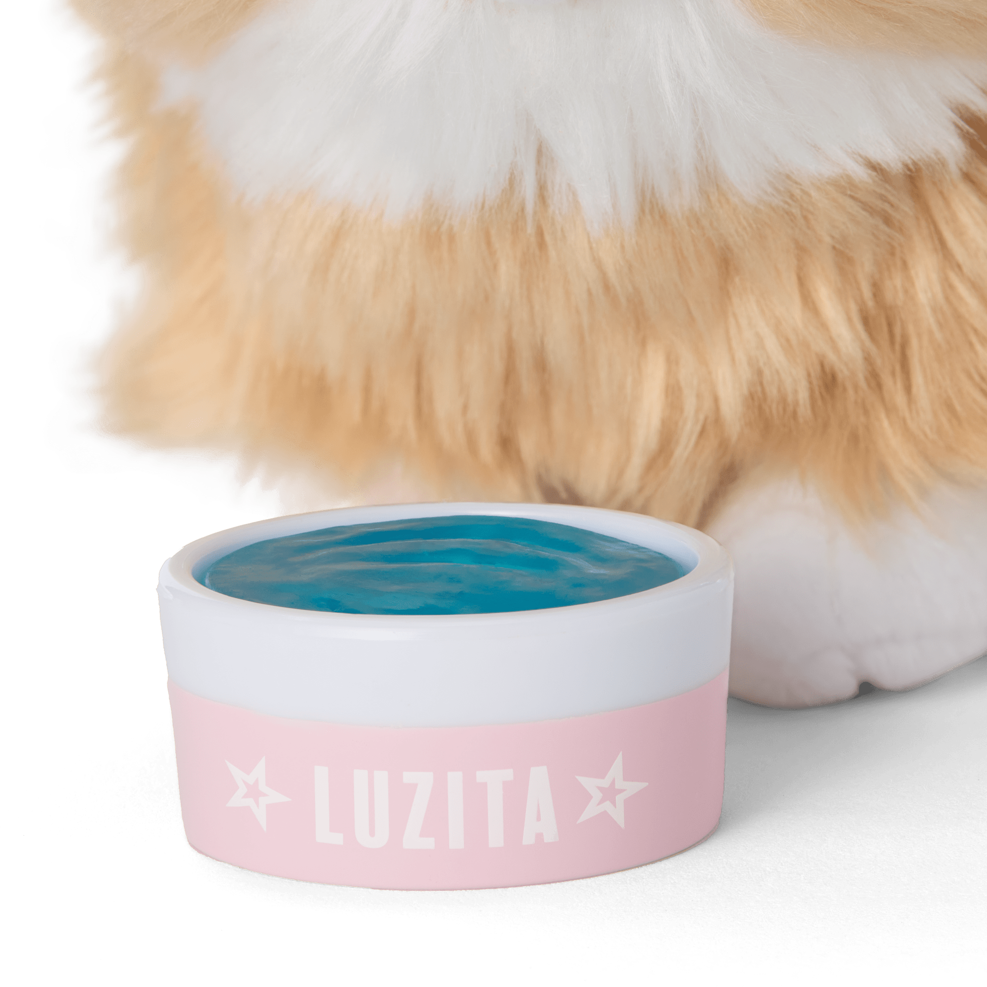 Raquel's Dog, Luzita (Girl Of The Year 2026) - Image 5