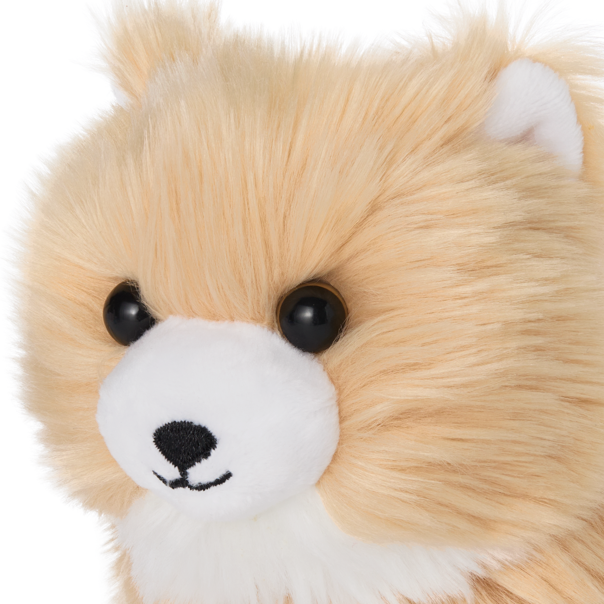 Raquel's Dog, Luzita (Girl Of The Year 2026) - Image 3