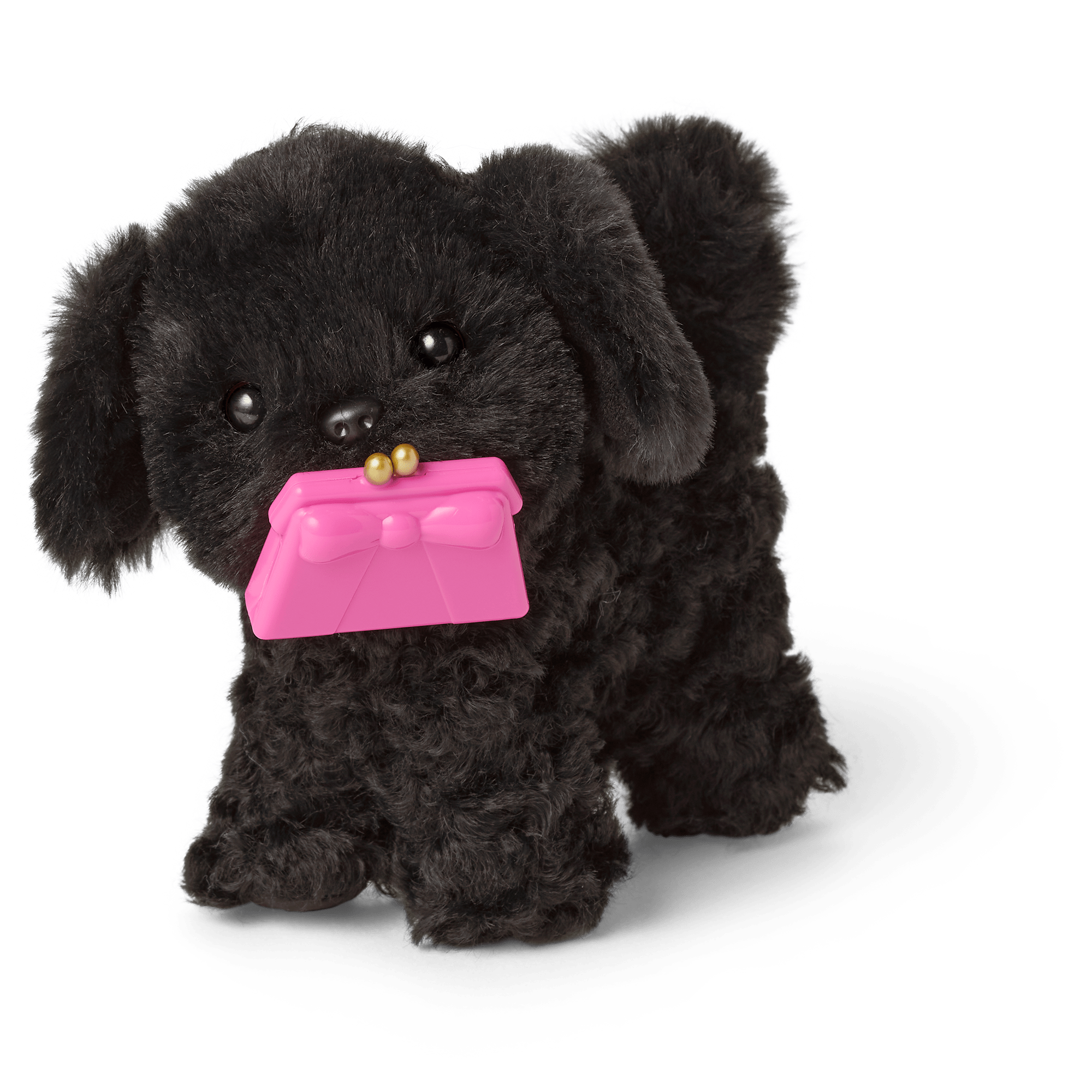 Shi-Poo Sweetie Dog Bundle - Image 5