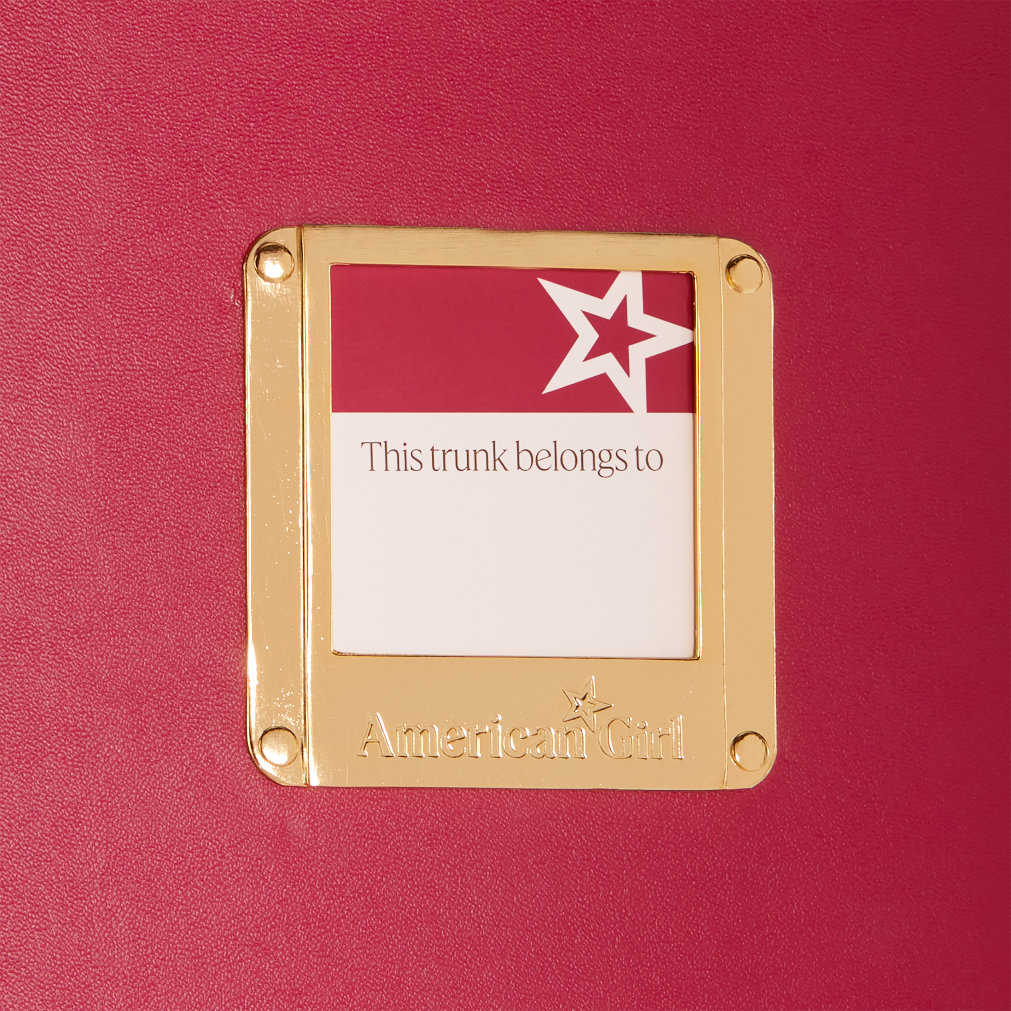 American Girl Doll Storage Trunk - Image 9